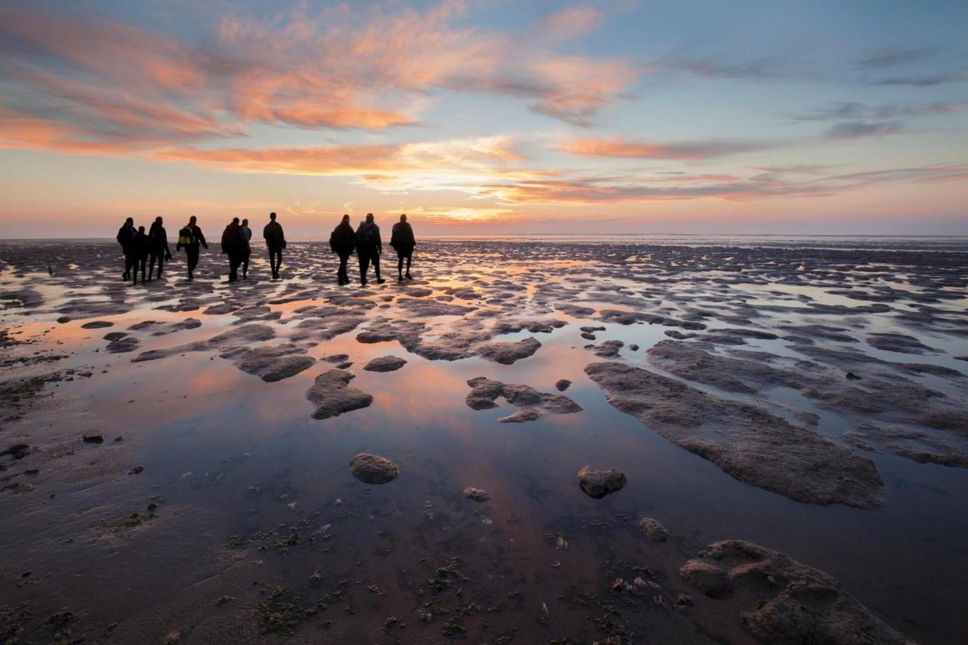 Enjoy Natur, See Und Meer Chalet Lauwersoog- 1-6 Pers- 3 Schlafzimmer, 2 Badezimmer- Fruehes Einchecken Ab 14 Uhr Eksteriør bilde
