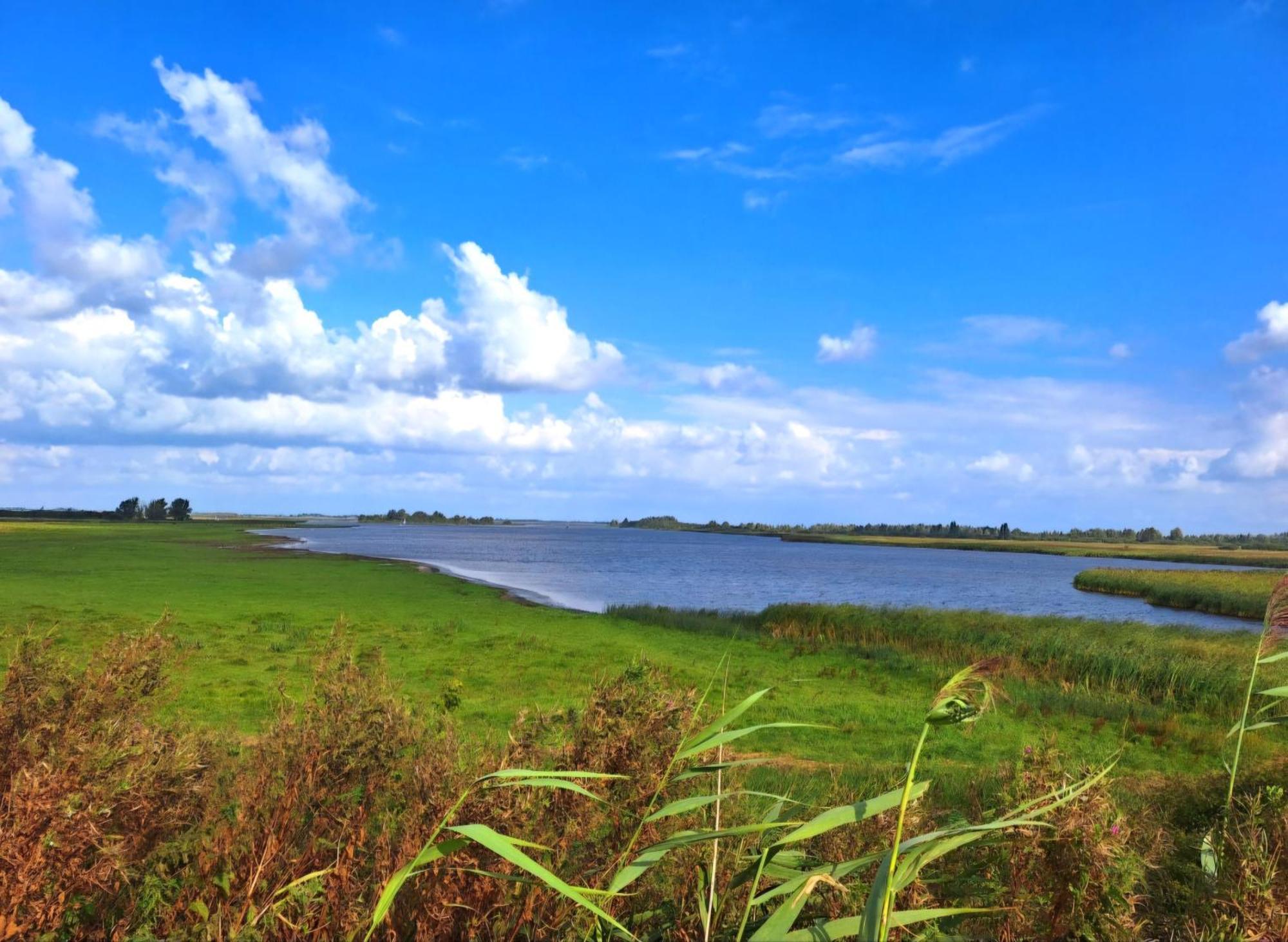 Enjoy Natur, See Und Meer Chalet Lauwersoog- 1-6 Pers- 3 Schlafzimmer, 2 Badezimmer- Fruehes Einchecken Ab 14 Uhr Eksteriør bilde